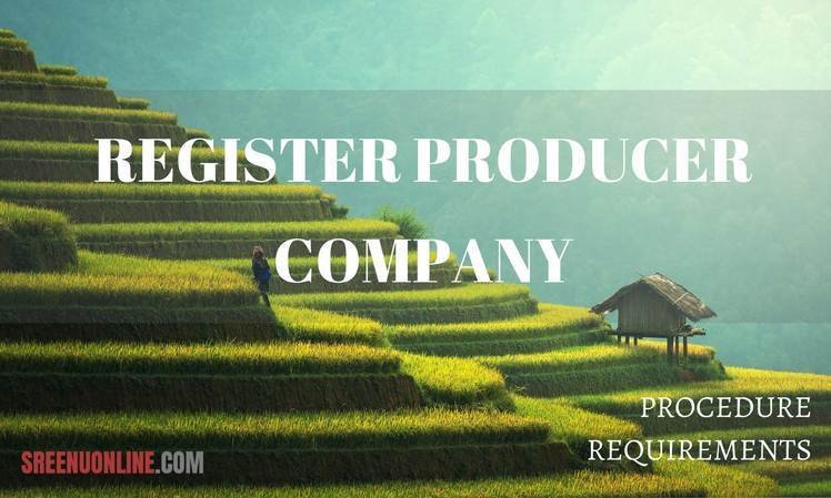 register producer company